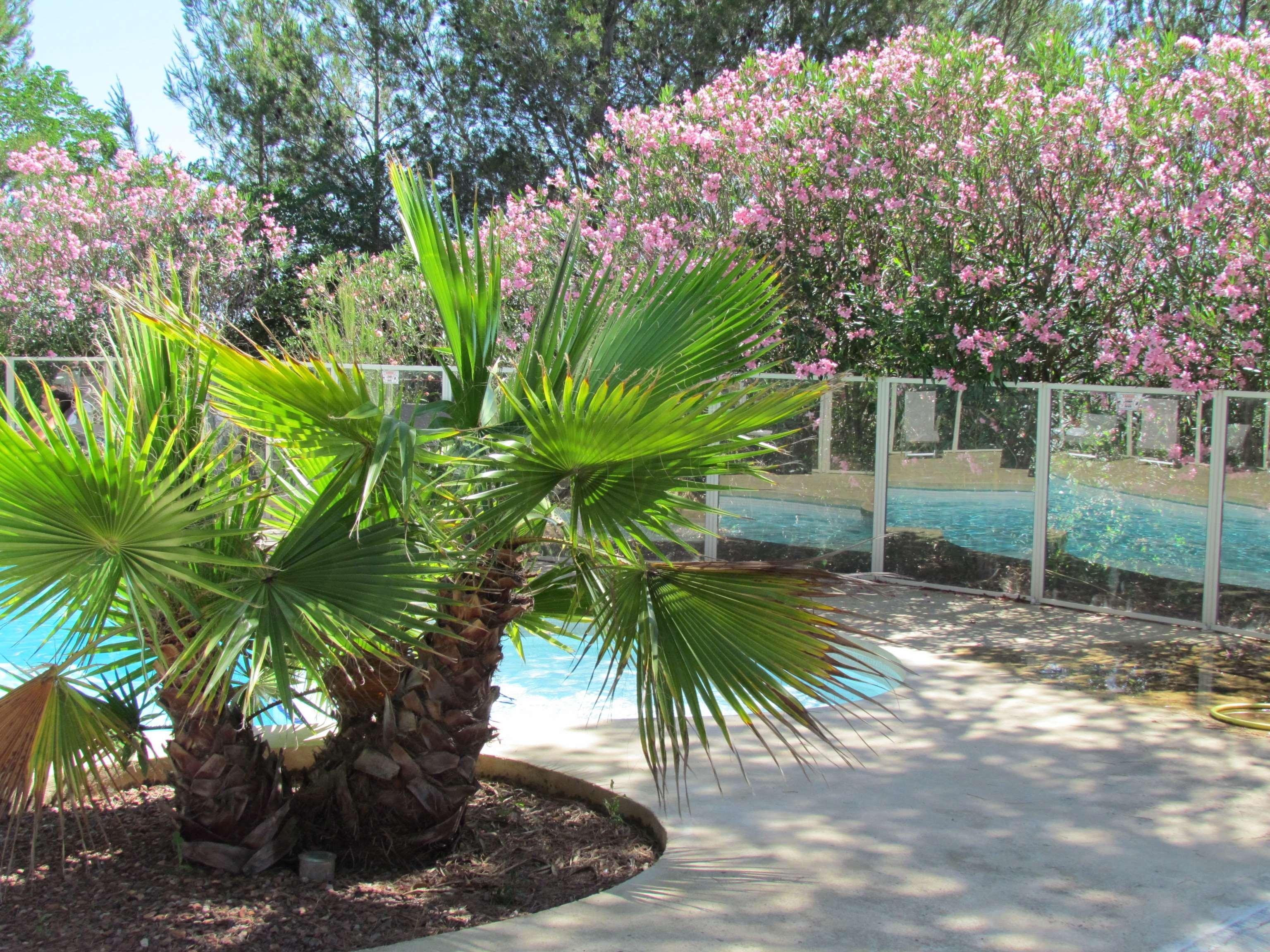 Kyriad Montpellier Nord Parc Euromedecine Saint-Clément Екстериор снимка